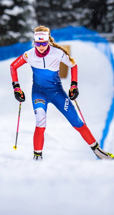 Biatlon - image